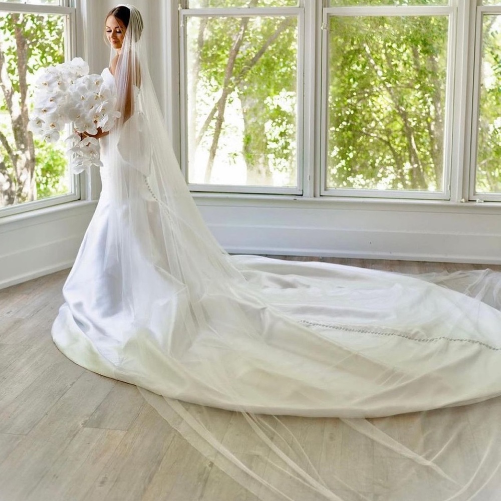 Long Mesh Wedding Veil (Never Worn)